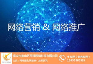 泰安百家號(hào)市場怎么樣 泰安百家號(hào) 星際網(wǎng)絡(luò) 查看