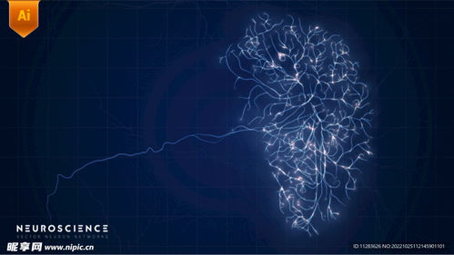 融合科技與關愛 探索未來醫(yī)療護理的數(shù)字化大腦